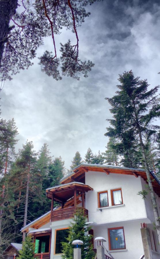 Вила Пенчеви, Кк. Цигов Чарк Exterior photo